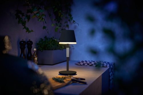Philips Hue - Lámpara de mesa inteligente Hue Go Portable, Luz Blanca y de  Colores, Portátil, recargable, Apta para interior y exterior (IP20/54),  Compatible con Alexa y Google Home, blanca : 
