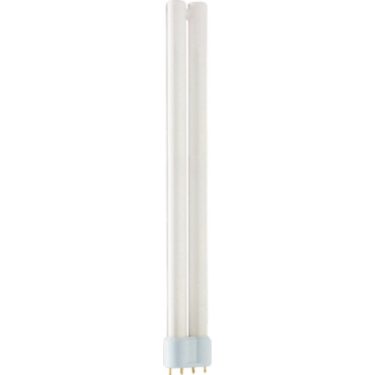 Pl lamp best sale 4 pin