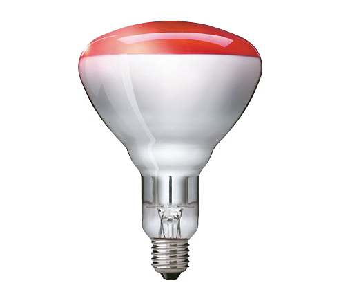 Philips Ir150Rh Red Br125 E27 230-250V 1Ct//10