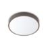 智能 Wi-Fi LED 吸顶灯