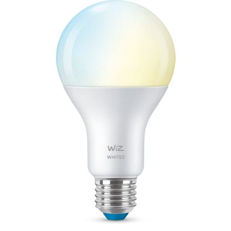 Bulb Bulb