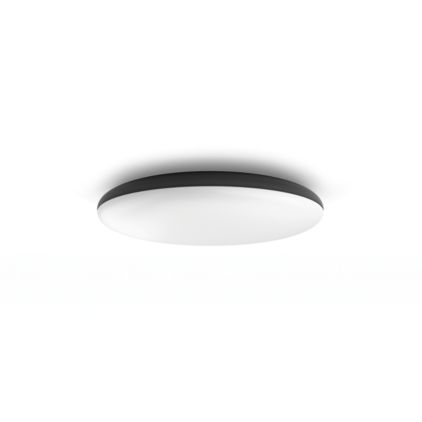 main.alt.text.RTP.Cher ceiling light