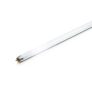 Lampade e starter fluorescenti