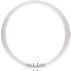 Master T5 Circular fluorescent