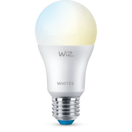 Bulb Bulb