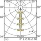 LDLD_CDMR111E_0007-Light distribution diagram