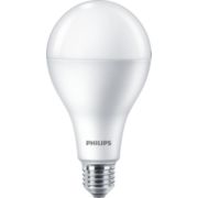 LED Bulb