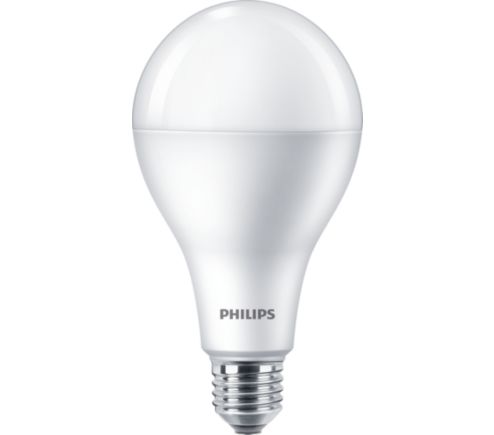 tofu volume Probleem ESS LEDBulb 23W E27 3000K A80 1CT/12 CN | 929002004209 | Philips lighting