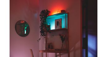 A slender design for versatile use