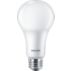 DEL Ampoule