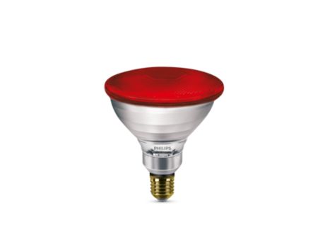 IR175R/PAR 120V 12/1