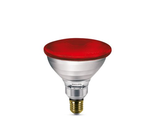 IR175R/PAR 120V 12/1