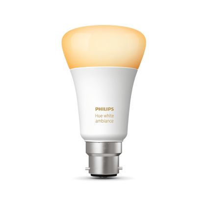 German:An image of product of the Einzelpack B22