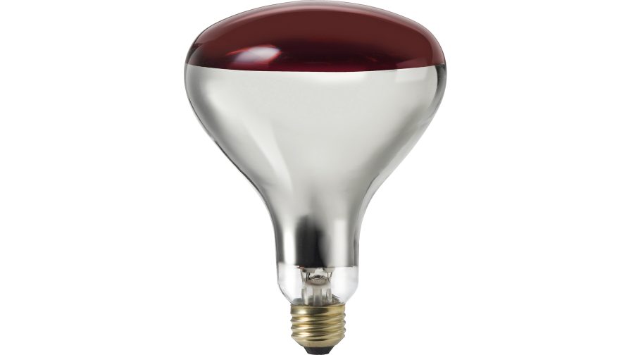 Product image for PHILIPS 415836 250R40/HR 120V 4/1 TP HEAT LAMP