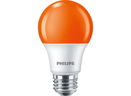 8A19/LED/ORANGE/P/ND 120V 4/1FB