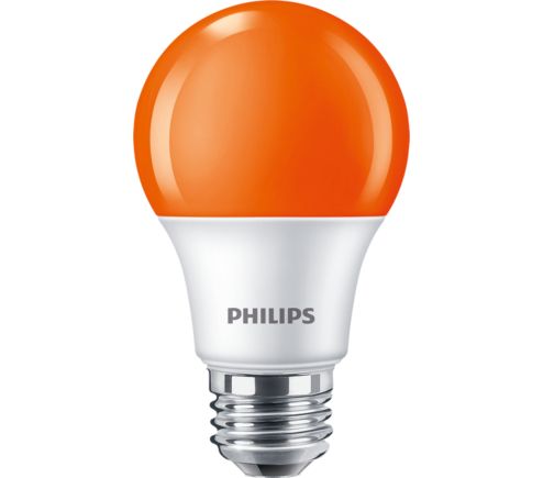 8A19/LED/ORANGE/P/ND 120V 4/1FB