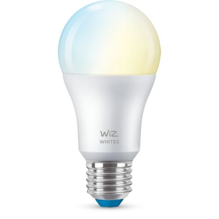 Bulb Bulb