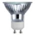 Indoor Flood Light