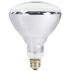 Heat Lamp