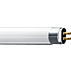 T5 Essential Tubo lineal fluorescente