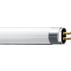 T5 Essential Linear fluorescent tube