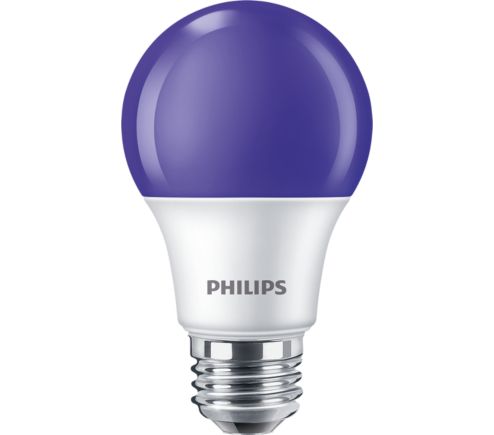 8A19/LED/PURPLE/ND 120V 4/1FB
