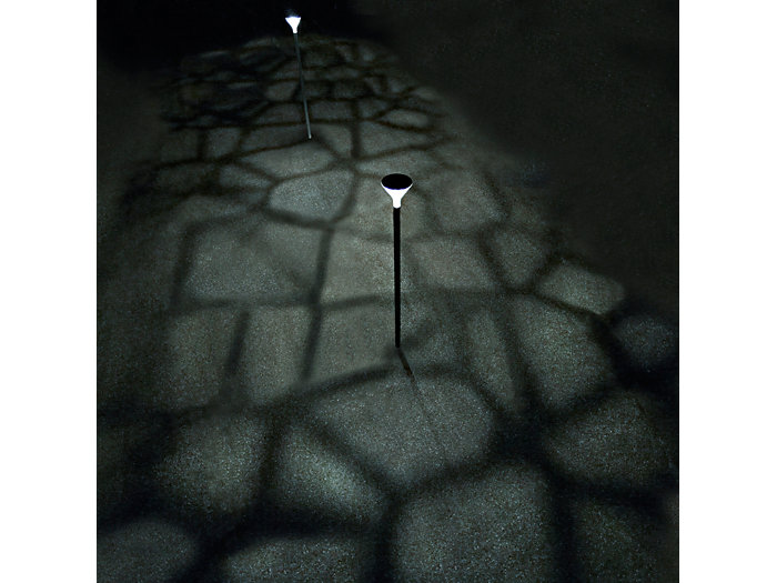 Unique, innovative lighting pattern on the ground, creating an autumnal look