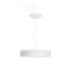Hue White ambiance Fair 吊燈
