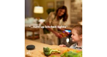 Voice control via Google Assistant, Alexa and Siri.