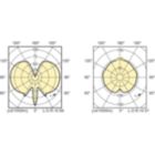 Light Distribution Diagram - MASTERC CDM-T Elite 35W/942 G12 1CT