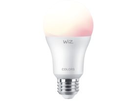 Bulb