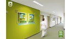 Green corridor in a hospital