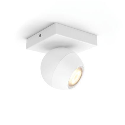 German:An image of product of the Buckram Einzelspot Erw.
