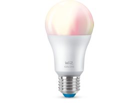 Bulb