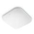 Ceiling light