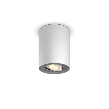 German:An image of product of the Pillar Einerspot erw.