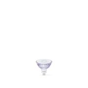PHILIPS LED Spot (&agrave; intensit&eacute; variable)