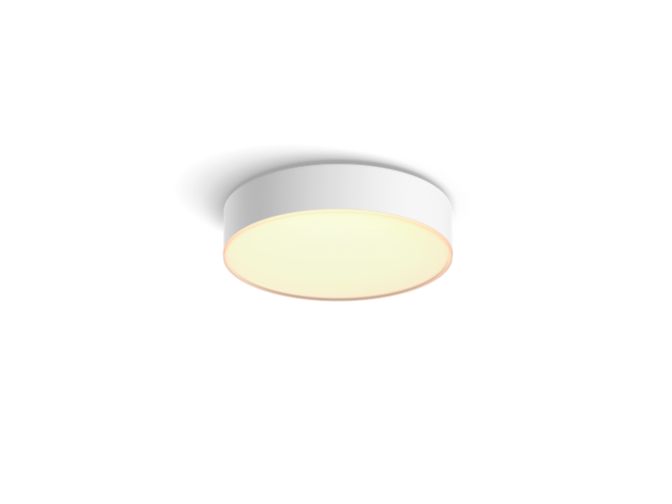An image of product of the Enrave kleine plafondlamp