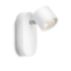 myLiving Spot light