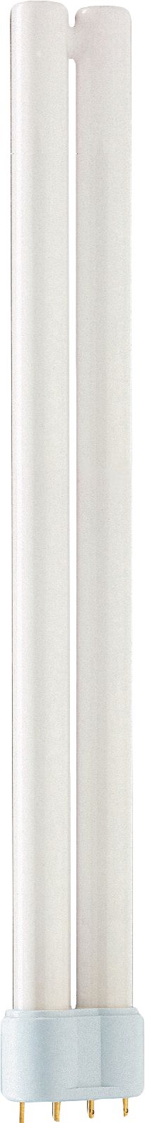 MASTER PL-L Polar 4 Pin