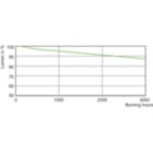 Lumen Maintenance Diagram - MASTER MHN-SE 2000W/956 GX22 400V HO UNP