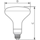  Single Contact Medium Screw BR40 Frosted