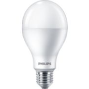 LED Bulb