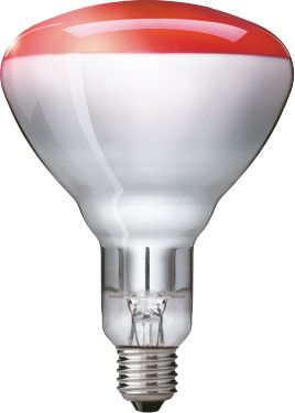 Infrared Lamps Industrial Use IINDIR Philips lighting