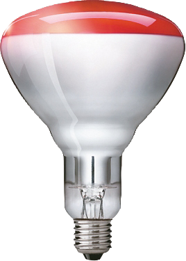 InfraRed priemyselné výhrevné žiarovky