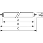Fa6, T12