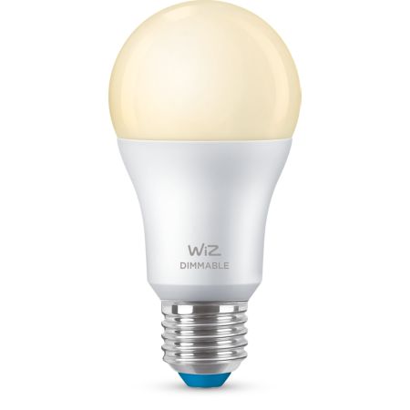Bulb Bulb
