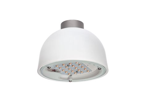 BDS559 LED15/830 II GL-DS50 CLO C4K