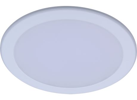 DN027C LED20/NW D225