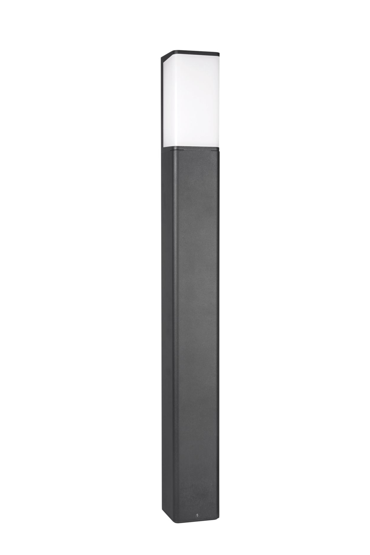 IP 65 fixtures ideal for gardens